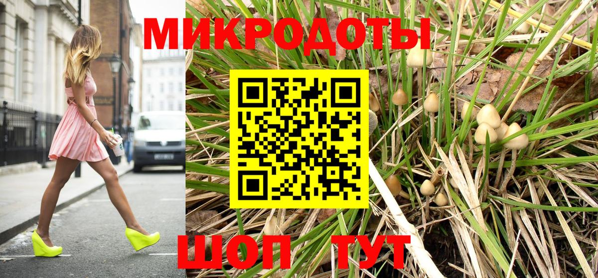 Галлюциногенные грибы Cubensis Новокубанск